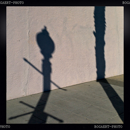 Sunny Street