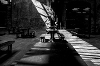 In The Shadows