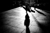 Low Sun