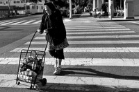 Going Home From The Market