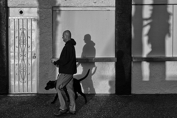 Dog Walking