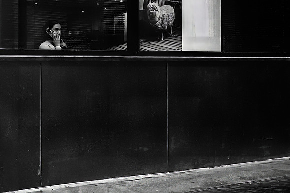 Coffee, Chat & Sheep
