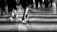 Night Crossing