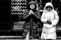 Crossing The Street