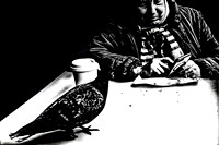 Bird