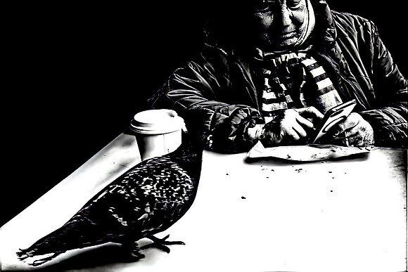 Bird