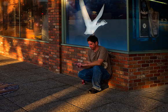 Beware... Low Flying Birds