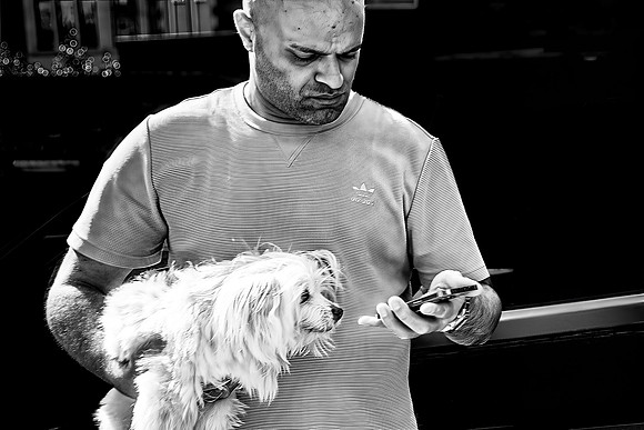 A Dog's Life