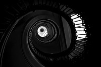 Looking Up