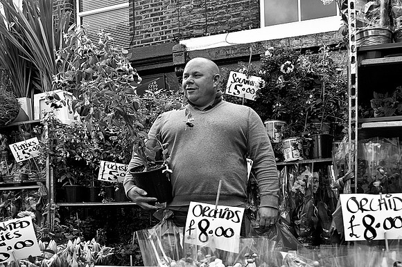 He's Just A Big Orchid