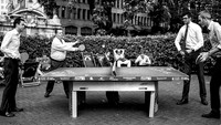 City Doubles