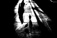 Shadows