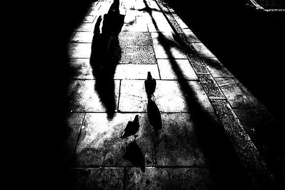 Shadows