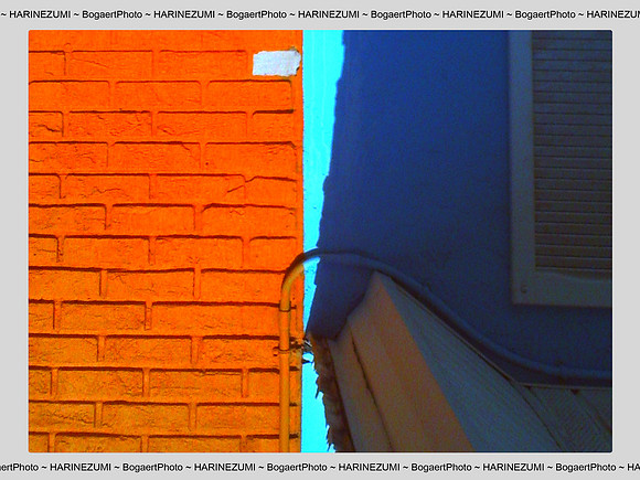 So Orange & Blue