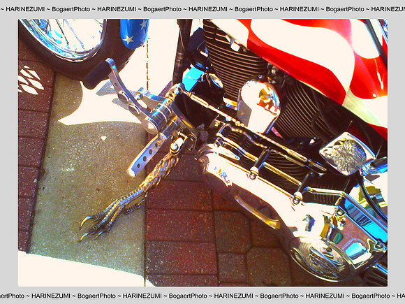 USA Bike