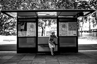 No Bus
