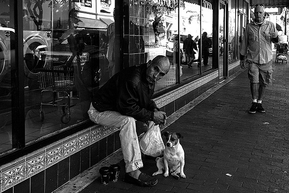 11~Dog & Owner At Rest