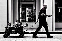 UBER For Dogs?