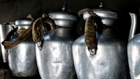 Tea Pots