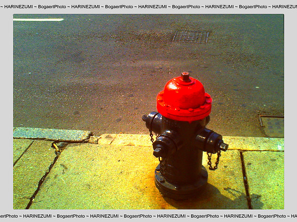 Red Water