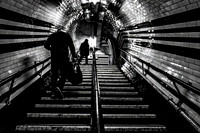 Londoners 2023 ~ Roll 6