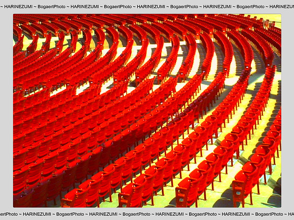In The Red Seat