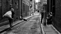 Down  the Alley