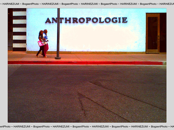 Anthropologie