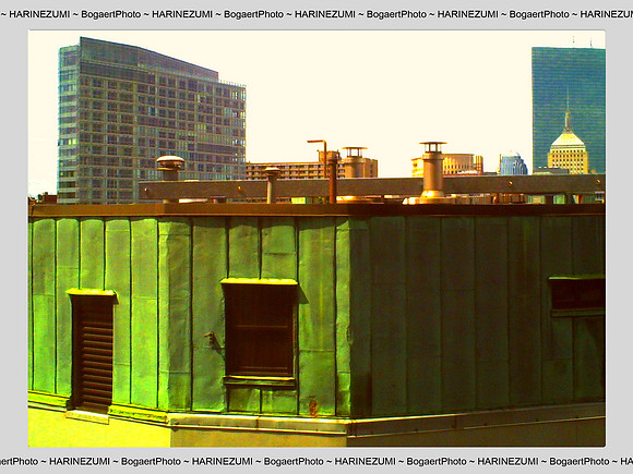 Top Floor
