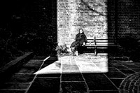 A Bit Of Sun