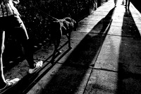 02~Walking The Dog