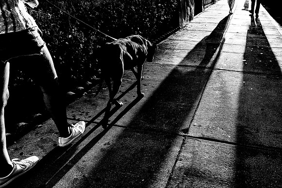 02~Walking The Dog