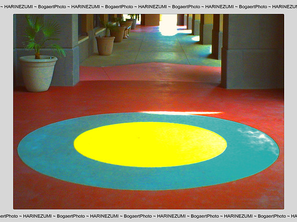 In The Round