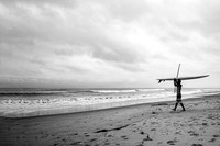 Surf's Up