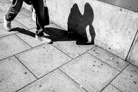 Talk & Walk