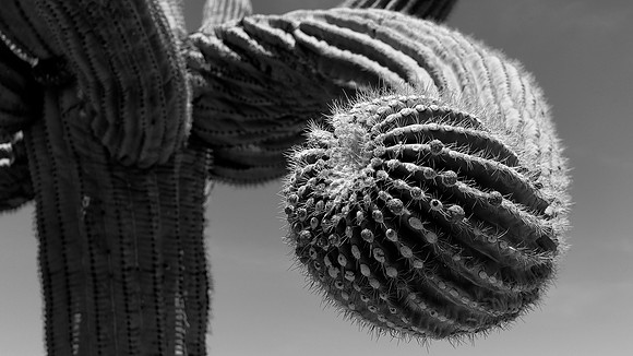 Arizona 02