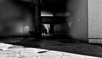 In The Stairwell