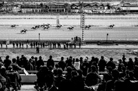 At The Races In Seoul