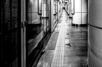 A Moment Of Stillness