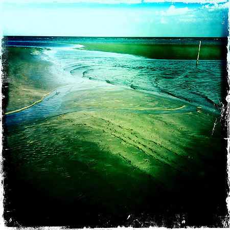 Low Tide