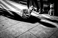 On The Street