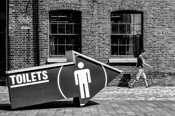 Which Way?