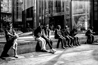 Sitting In The Sun