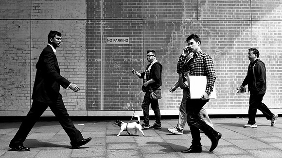 No Parking Dogs