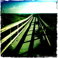 Down the Path