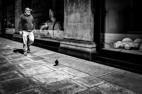 On The Street With A Bird