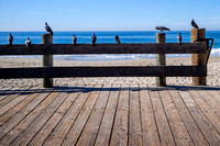 On The Fence