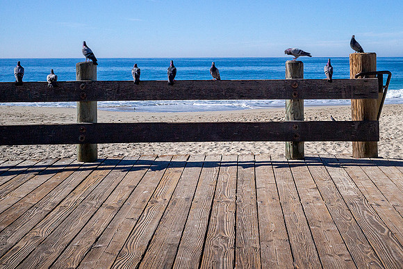 On The Fence