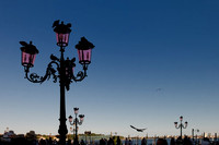 Venice 03