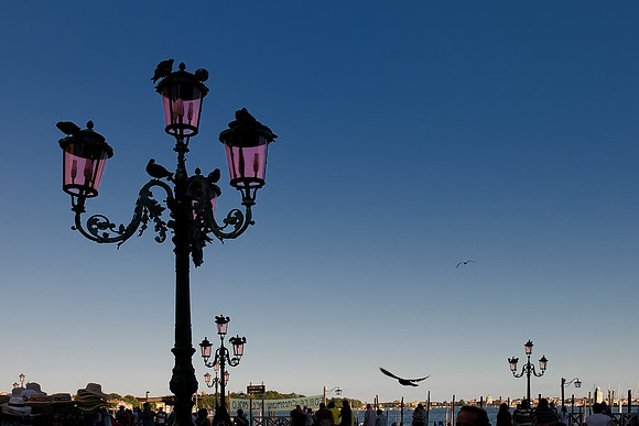 Venice 03